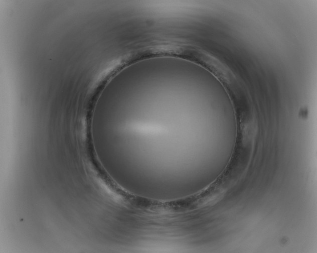 X0000092110729200709191327