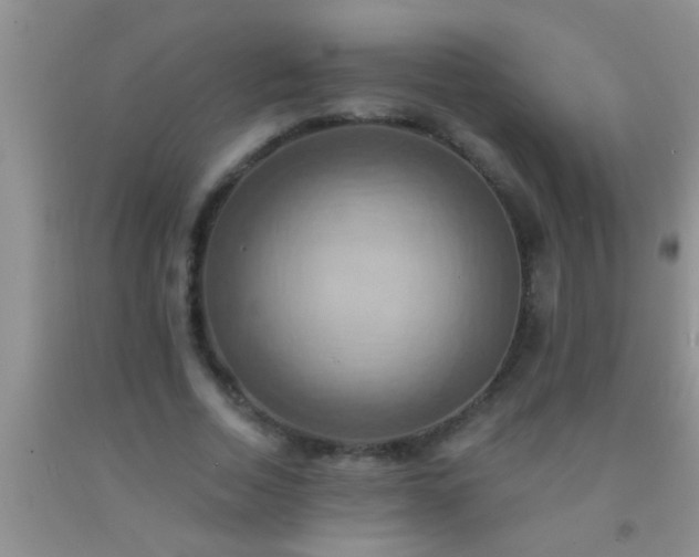 X0000092110730200709191327