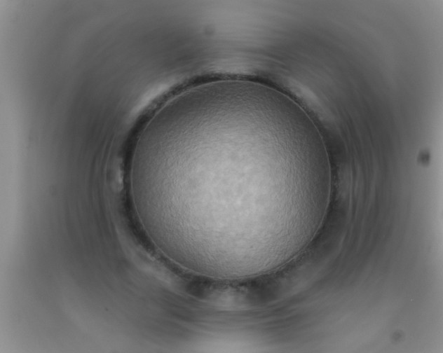 X0000092110731200709191327