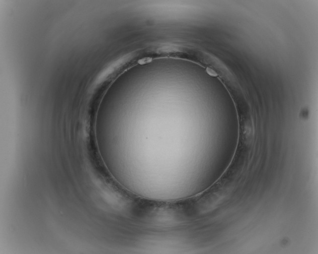 X0000092110732200709191327