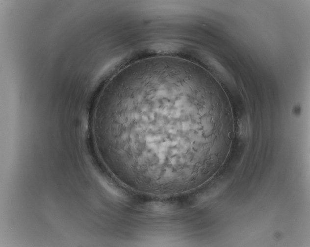 X0000092110733200709191327