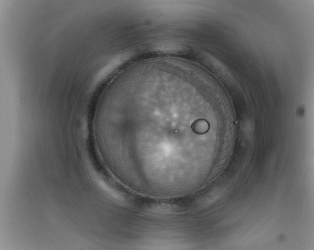 X0000092110734200709191327