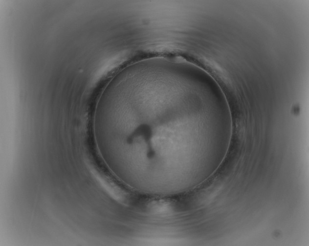 X0000092110735200709191327