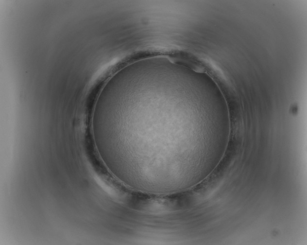 X0000092110736200709191327