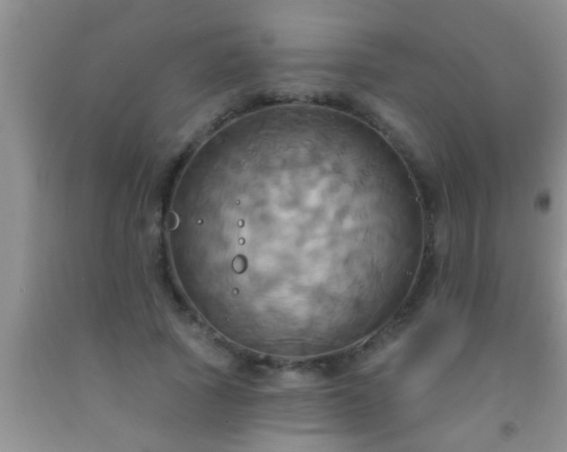 X0000092110737200709191327