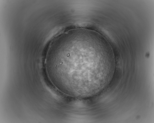 X0000092110738200709191327