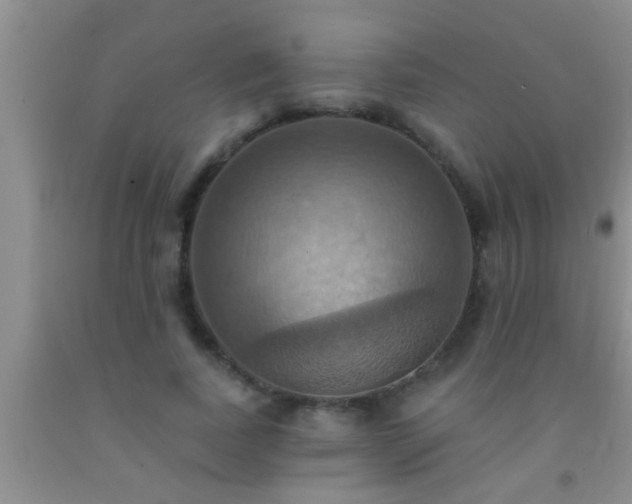 X0000092110739200709191327