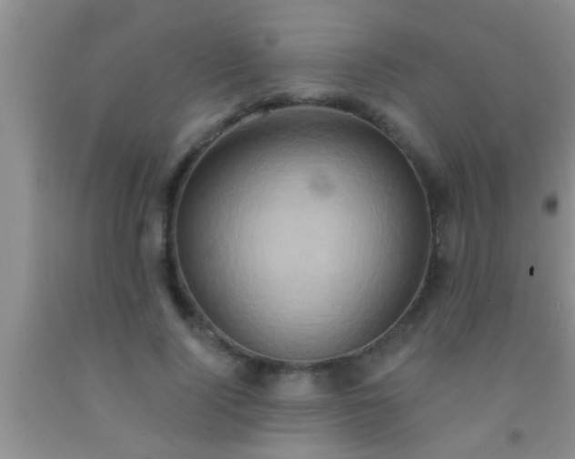 X0000092110740200709191327