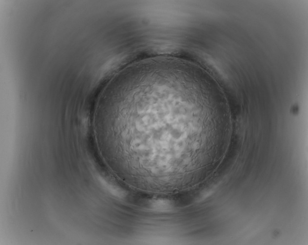 X0000092110741200709191328