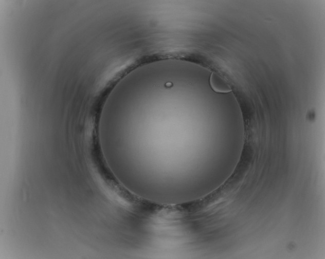 X0000092110742200709191328