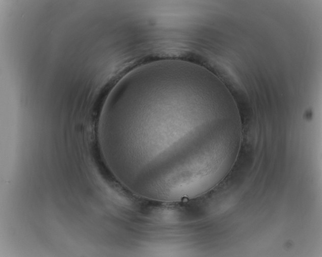 X0000092110743200709191328