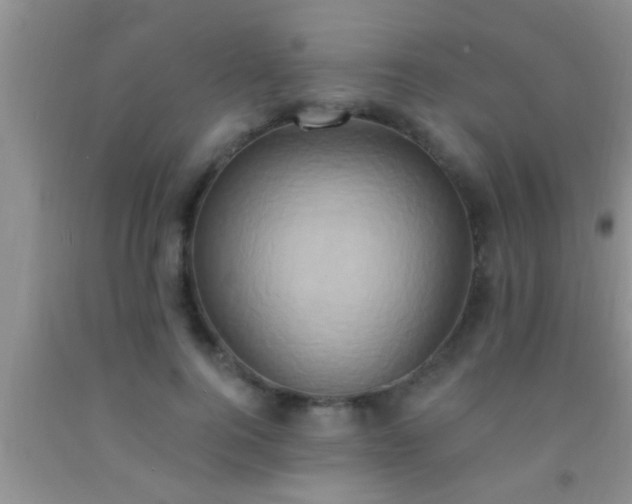 X0000092110744200709191328