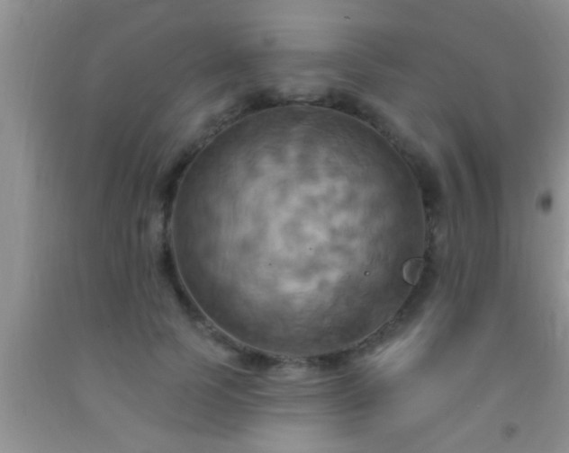 X0000092110745200709191328