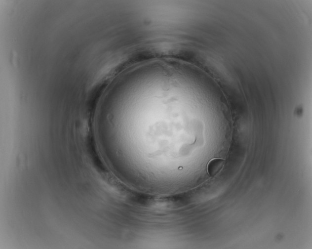 X0000092110746200709191328