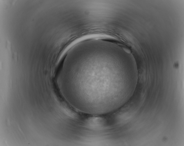 X0000092110748200709191328