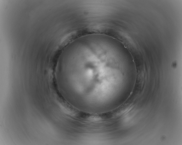 X0000092110749200709191328