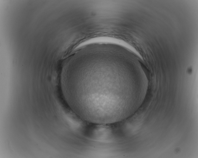 X0000092110750200709191328