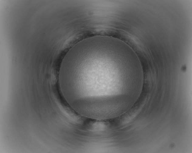 X0000092110751200709191328