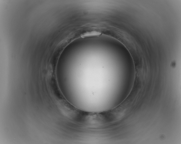 X0000092110752200709191328