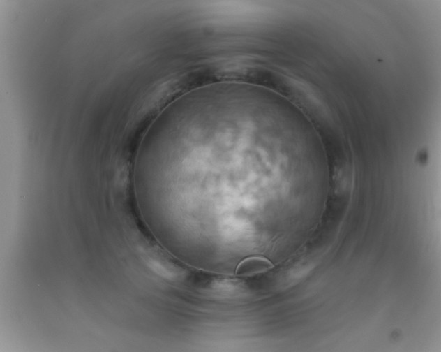 X0000092110753200709191328