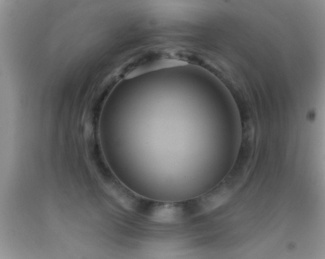 X0000092110754200709191328