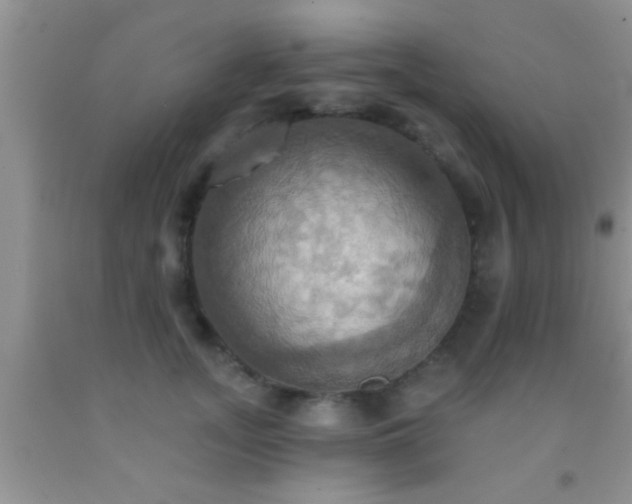 X0000092110755200709191328