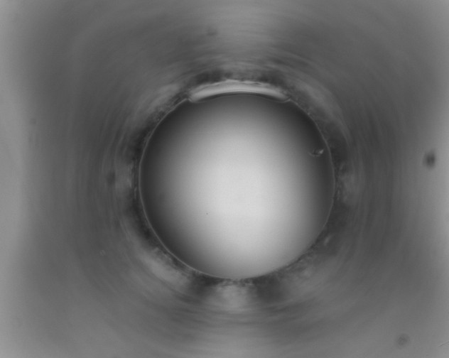 X0000092110756200709191328