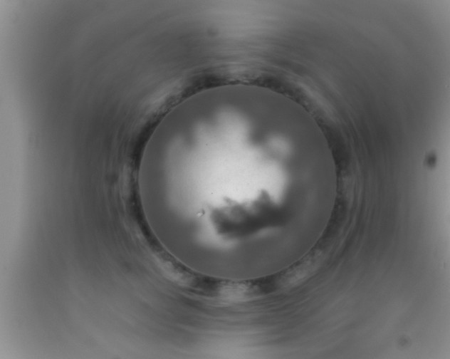 X0000092110757200709191328