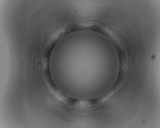 X0000092110758200709191328