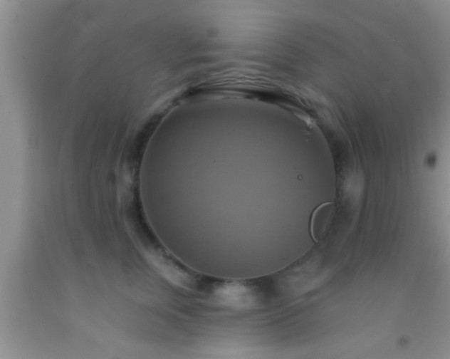 X0000092110759200709191328