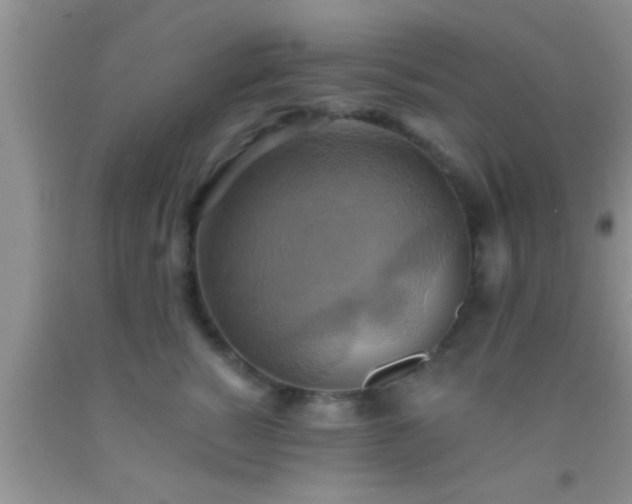 X0000092110760200709191328