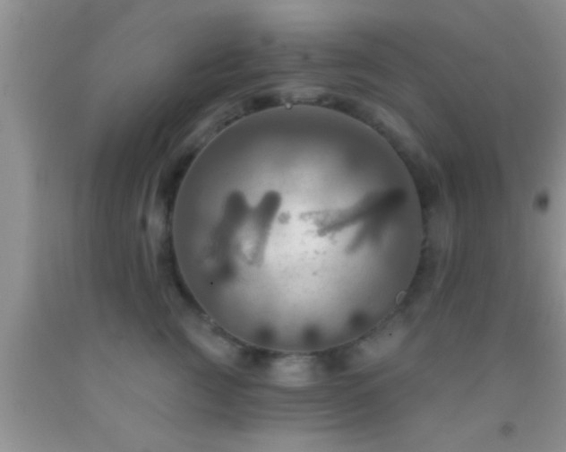 X0000092110761200709191328