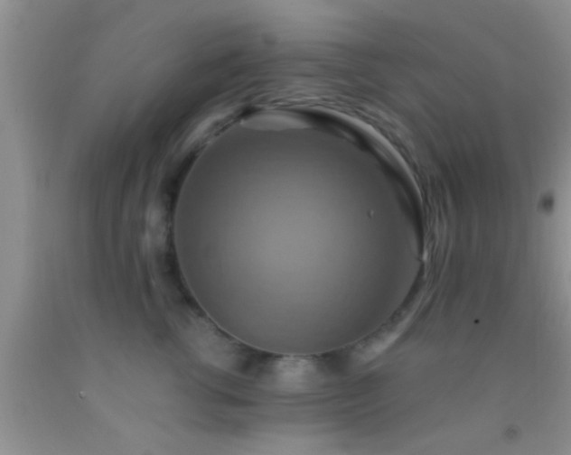 X0000092110762200709191328