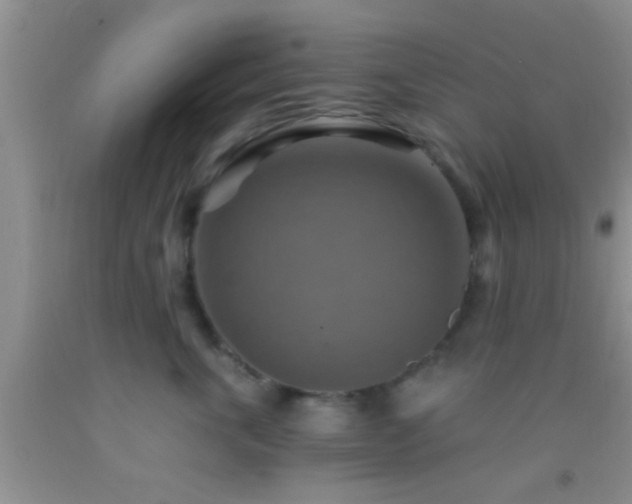 X0000092110763200709191328