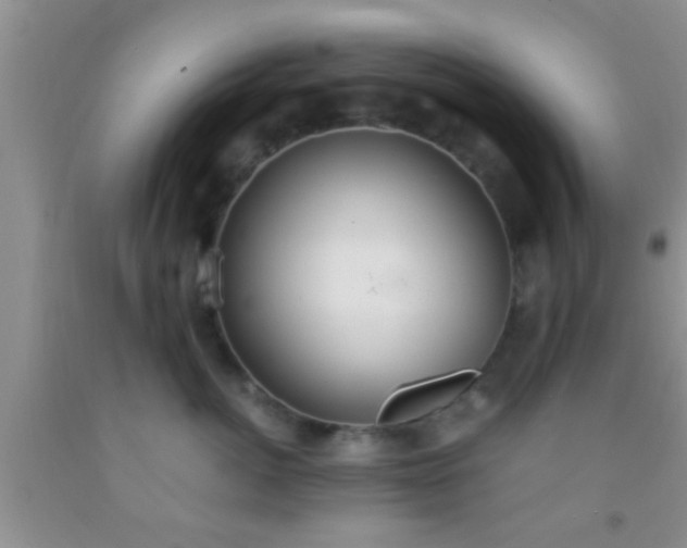 X0000092110764200709191328