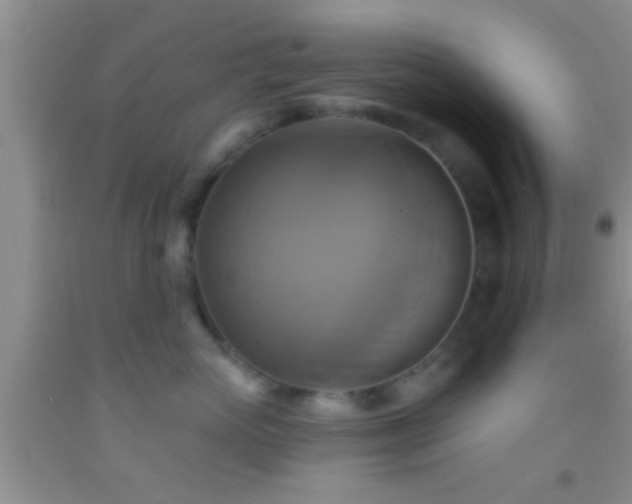 X0000092110765200709191328