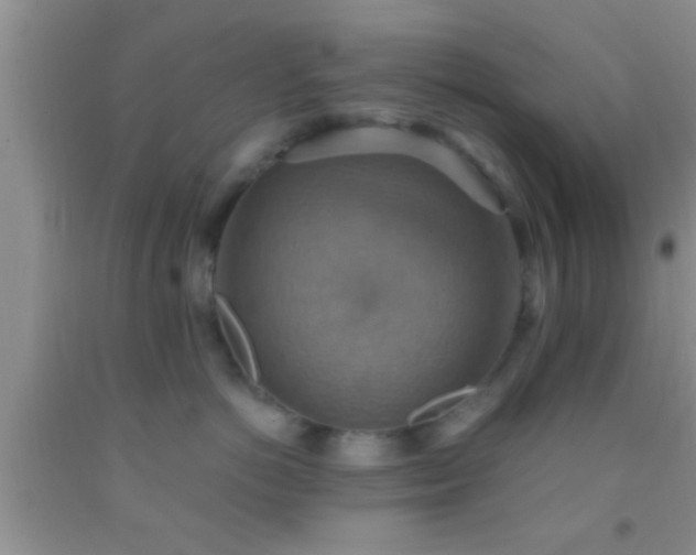 X0000092110766200709191328