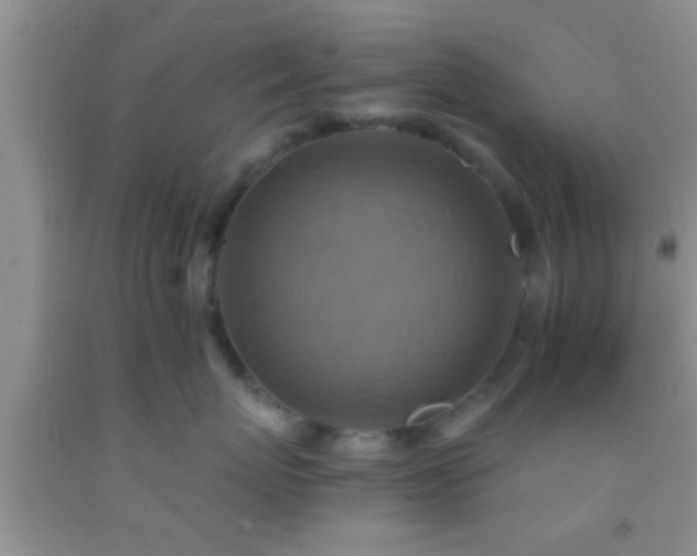 X0000092110767200709191328