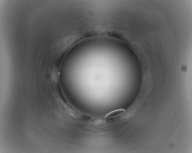 X0000092110768200709191328