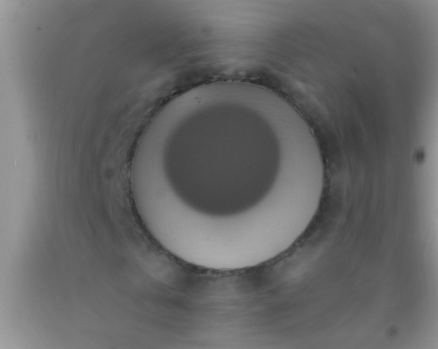 X0000092110769200709191327