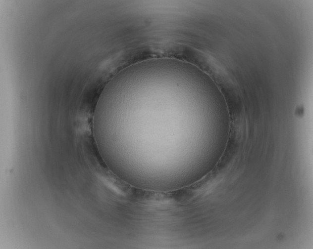 X0000092110770200709191327