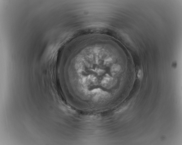 X0000092110771200709191327