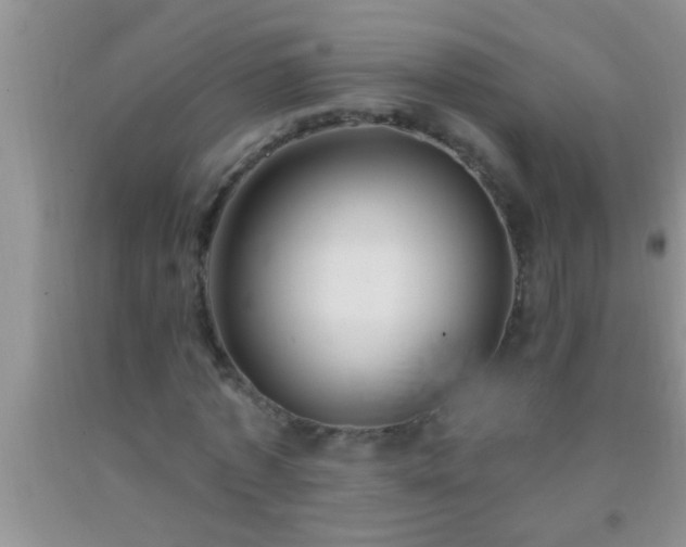 X0000092110773200709191327