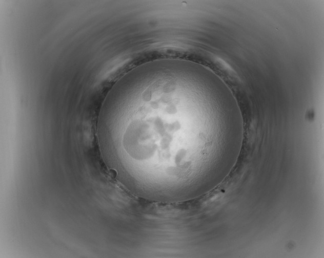 X0000092110774200709191327