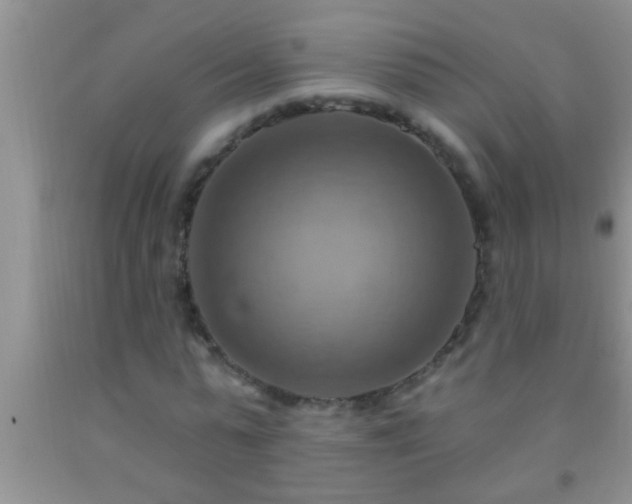 X0000092110775200709191327