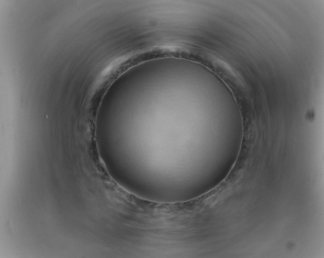 X0000092110776200709191327