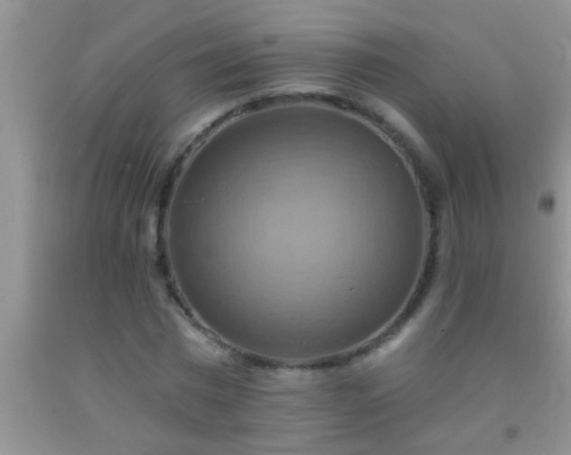 X0000092110777200709191327