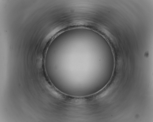 X0000092110778200709191327