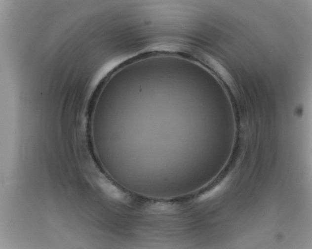 X0000092110779200709191327