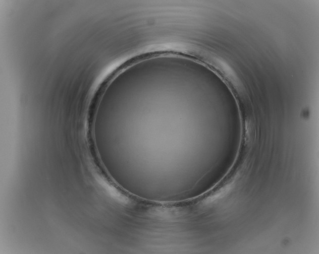 X0000092110780200709191327